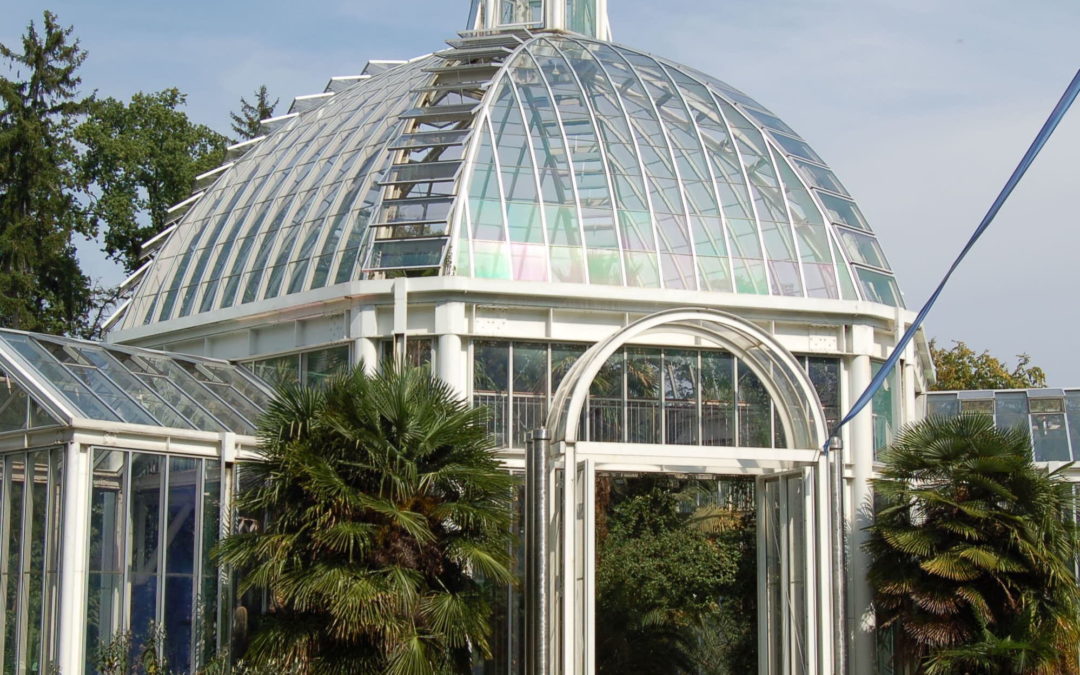Au Jardin Botanique de Genève