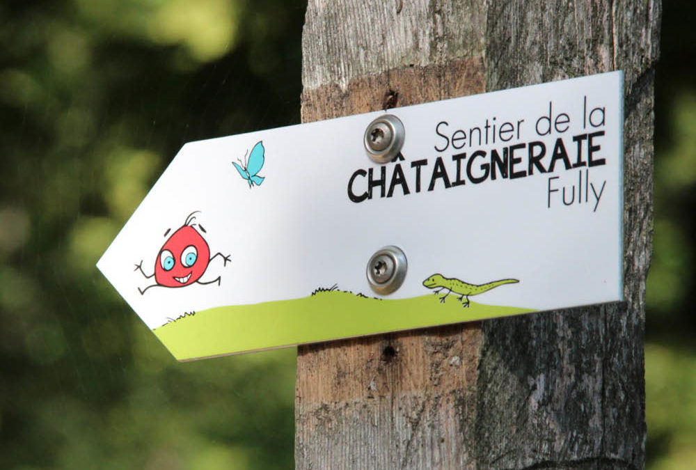 Le sentier didactique de la châtaigneraie